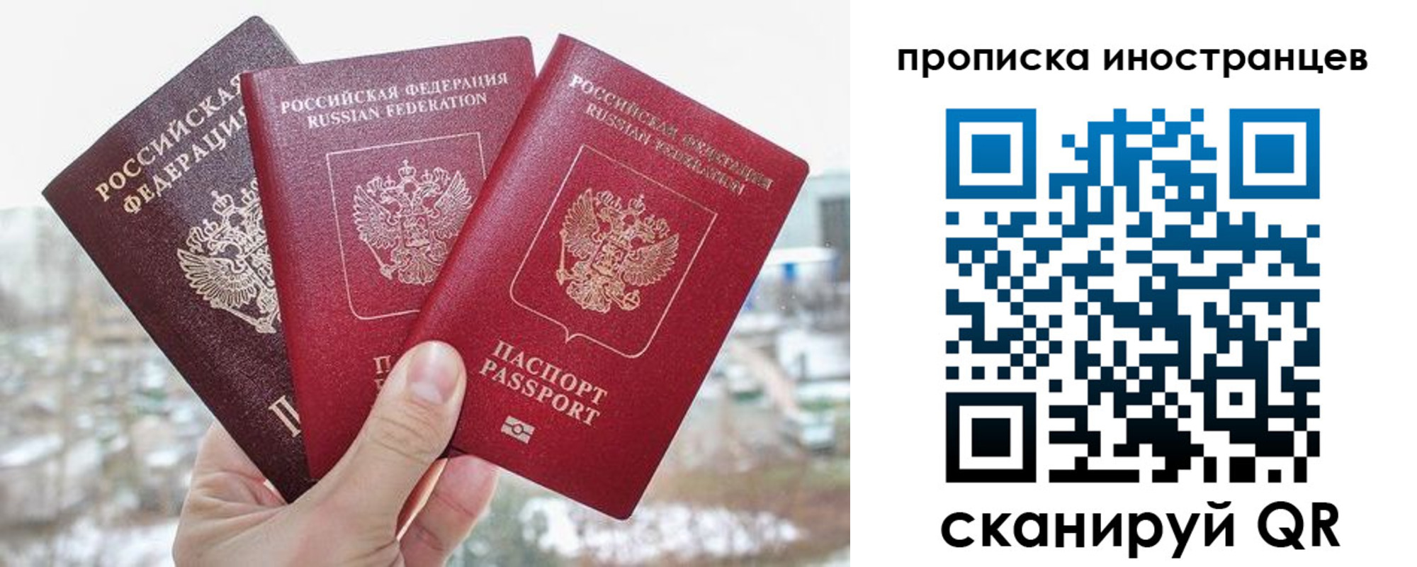 временная регистрация поиск в Белгороде